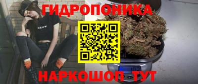 марихуана Будённовск