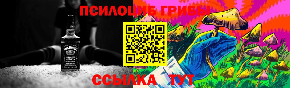 Протвино  Псилоцибиновые грибы прущие грибы  Вход с VPN 